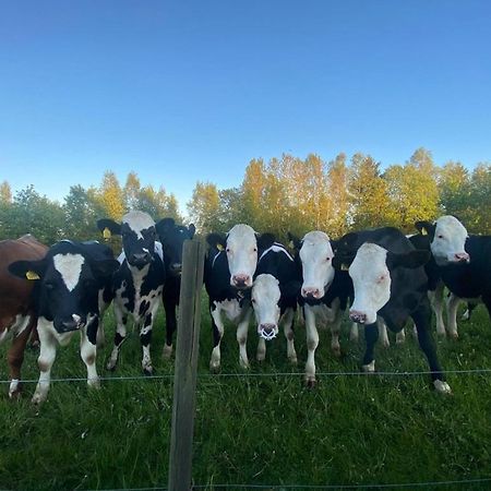 Mysig Stuga Naera Aestad Vingard & Spa Villa Eksteriør bilde